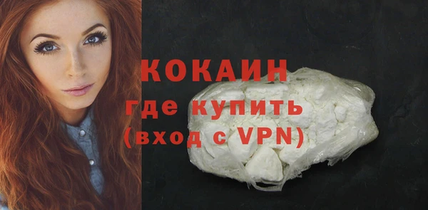 прущие грибы Богородск
