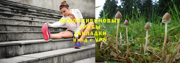 твердый Богданович