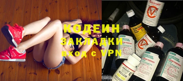 твердый Богданович