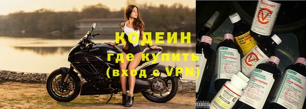 прущие грибы Богородск