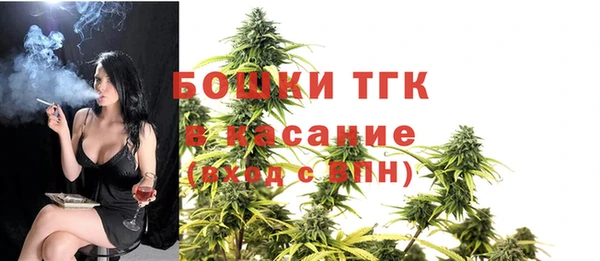 mdma Богородицк